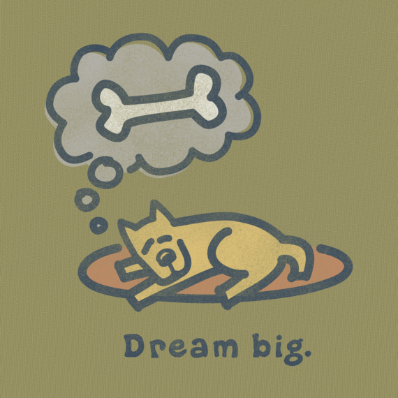 Life is Good Dream Big